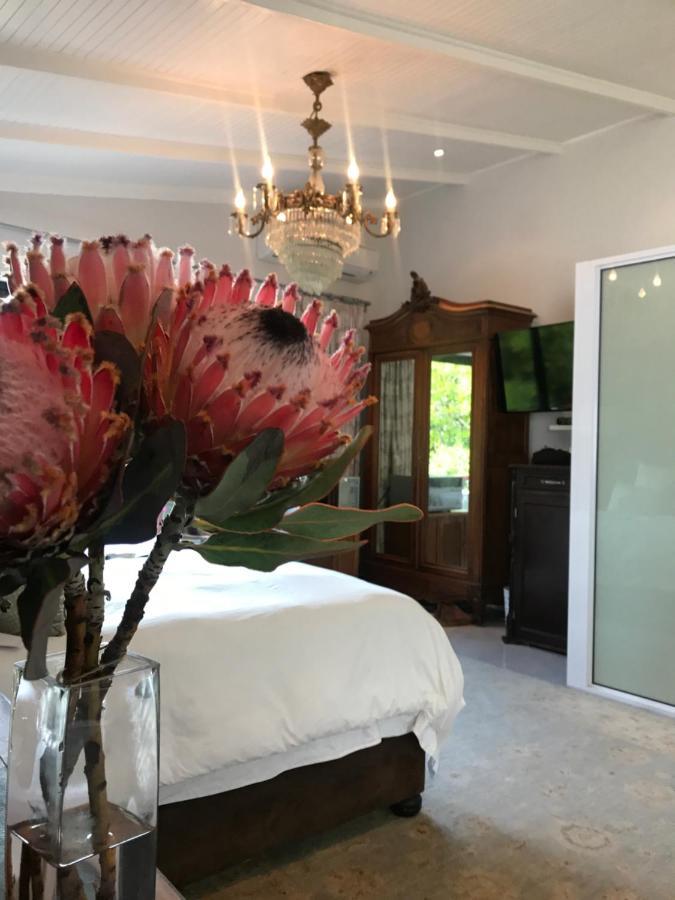 이스트런던 Loerie Hide B&B 외부 사진